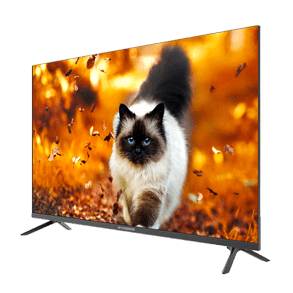 تصویری از کیفیت رنگ تلویزیون FHD هوشمند ایکسویژن سری 6 مدل XC685